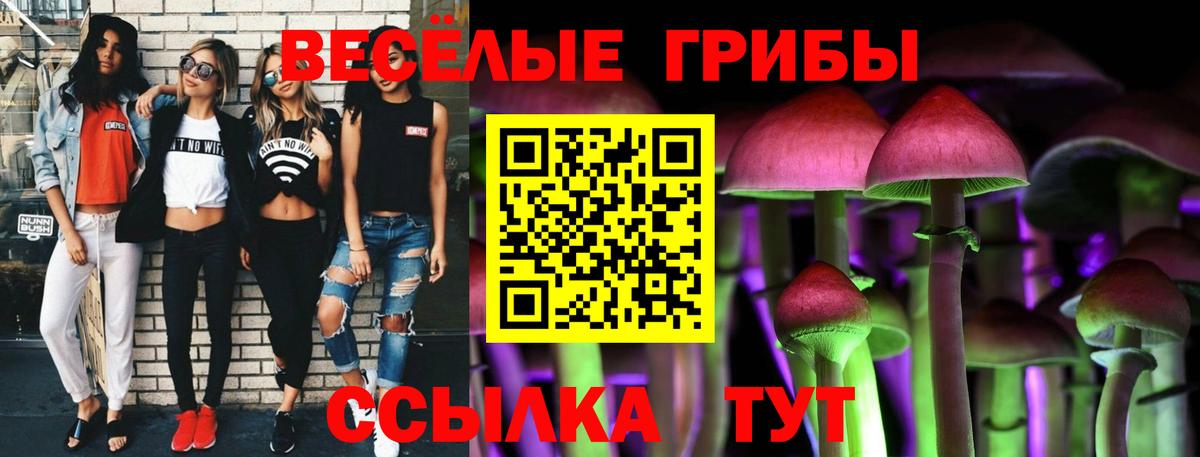 Галлюциногенные грибы мицелий Северобайкальск